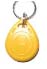 Yellow Keyring Tag